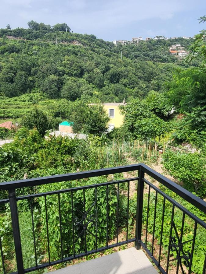 Novi Relax Apartment Herceg Novi Buitenkant foto